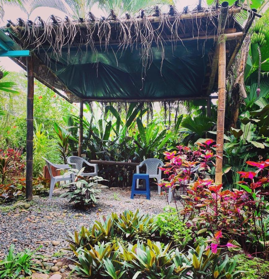 Hidden Jungle Beach House Puerto Viejo de Talamanca Bagian luar foto