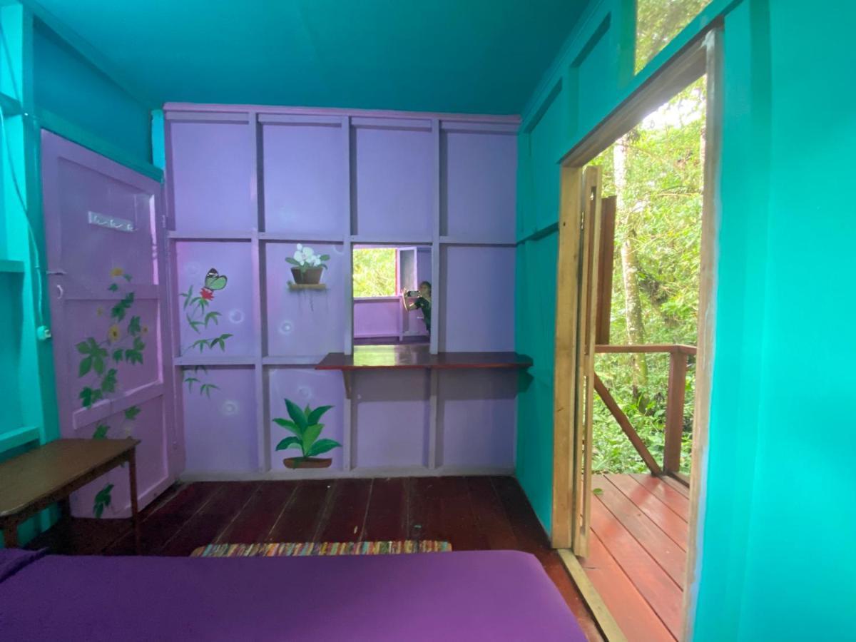 Hidden Jungle Beach House Puerto Viejo de Talamanca Bagian luar foto