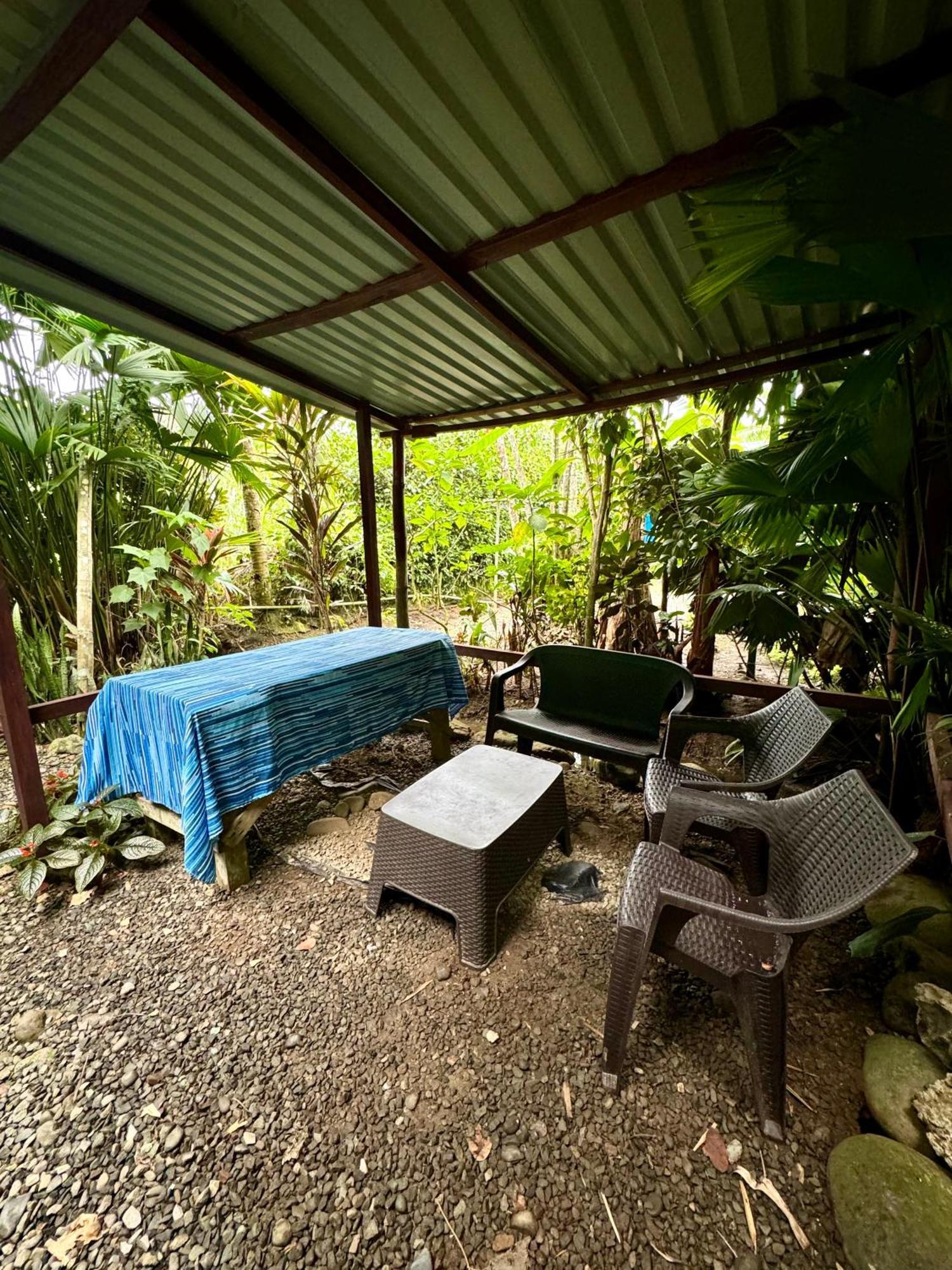 Hidden Jungle Beach House Puerto Viejo de Talamanca Bagian luar foto
